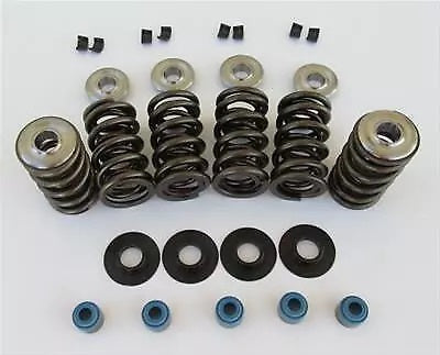 Cam Motion Inc LS Dual Valve Spring & Retainer Kit VSK142201