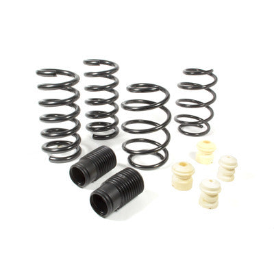 Eibach Pro Kit 2015-21 Ford Mustang 35145.14