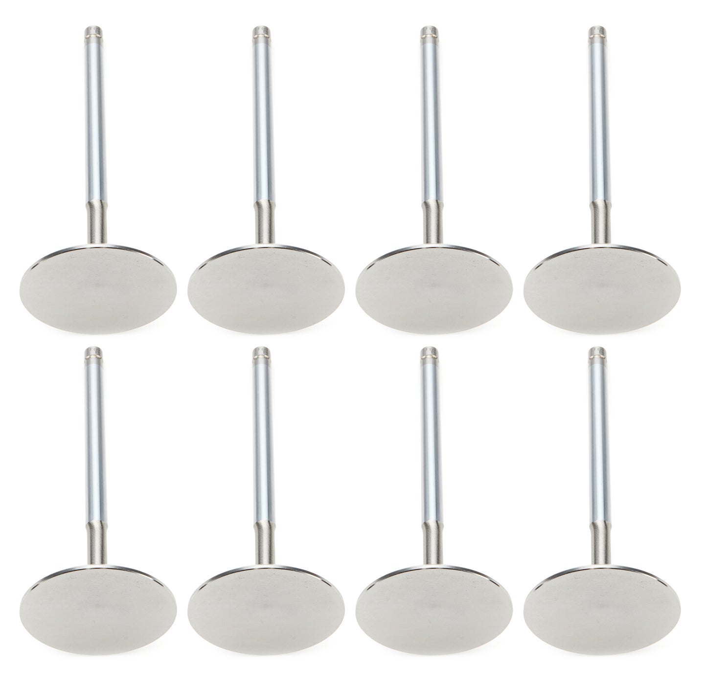 Ferrea SBC 2.200 C/P Intake Valves 11/32 5.560 OAL F2028P-8