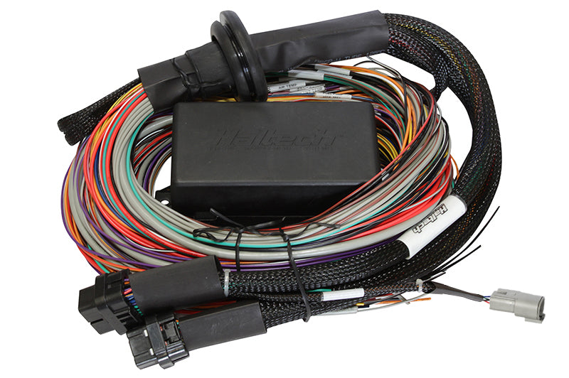 Haltech Elite 2500 Premium Univ. Wire Harness HT-141304