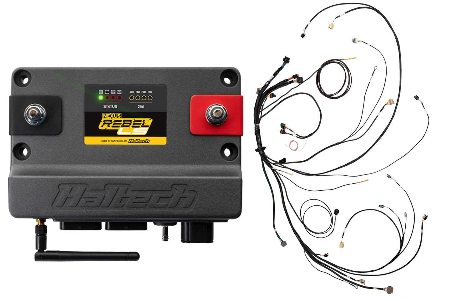 Haltech Nexus Rebel LS Kit w/Cable Throttle EV1 Inj MPN HTHHT-220201 For GM LS-Series