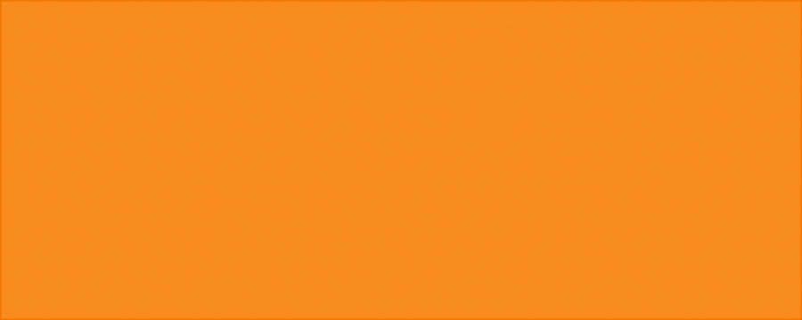 Allstar Performance Aluminum Vib Orange/Vib Orange 4x10 MPN ALL22244