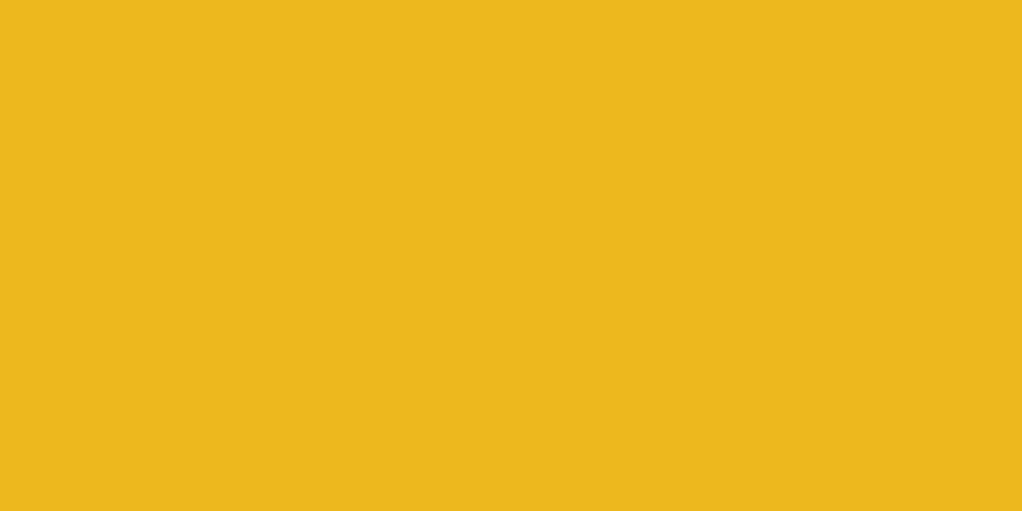 Allstar Performance 4x8 Plastic Yellow .100in MPN ALL22466
