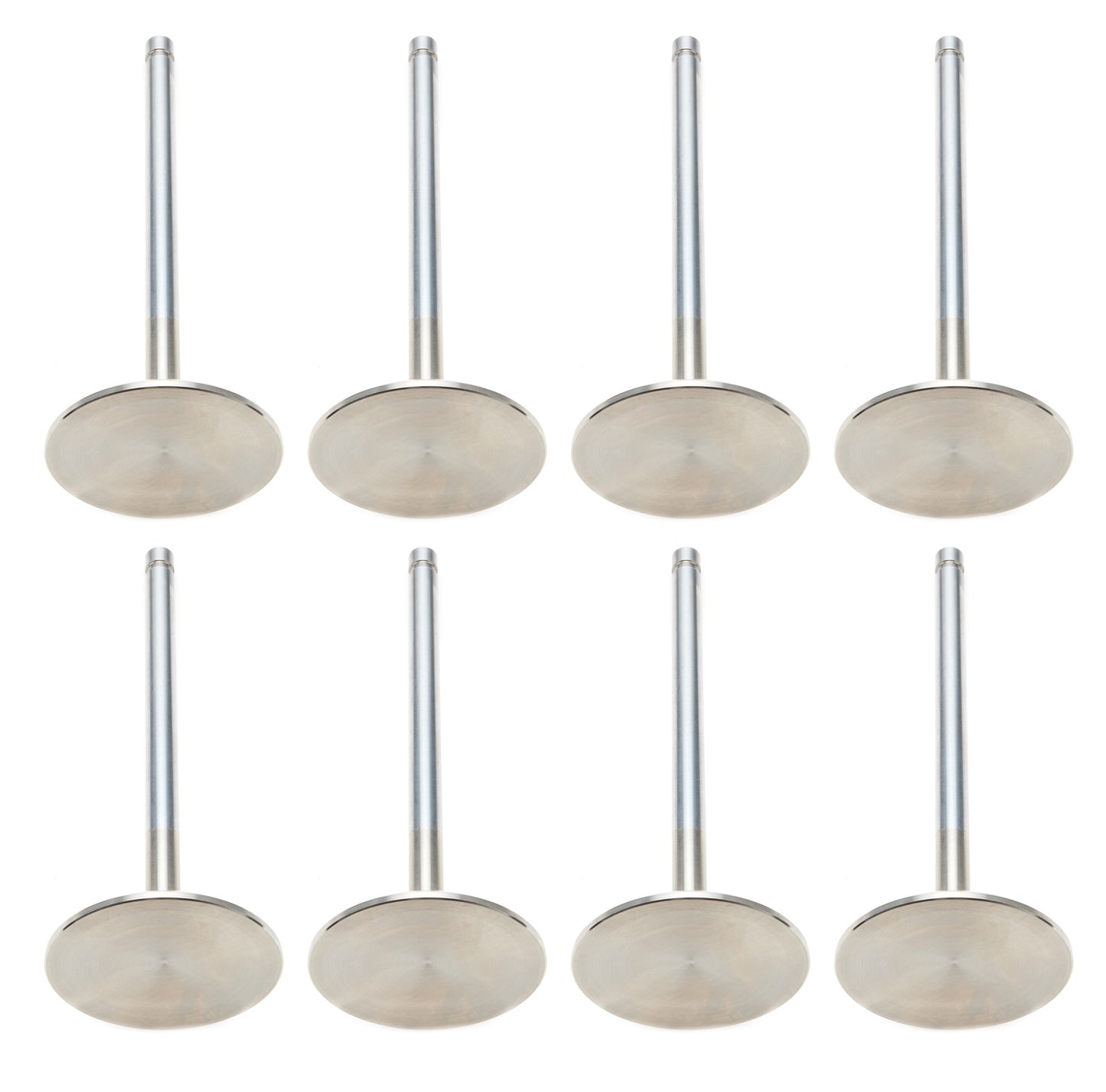 Ferrea SBC 2.180 C/P Intake Valves 11/32 5.725 OAL FERF1875P-8