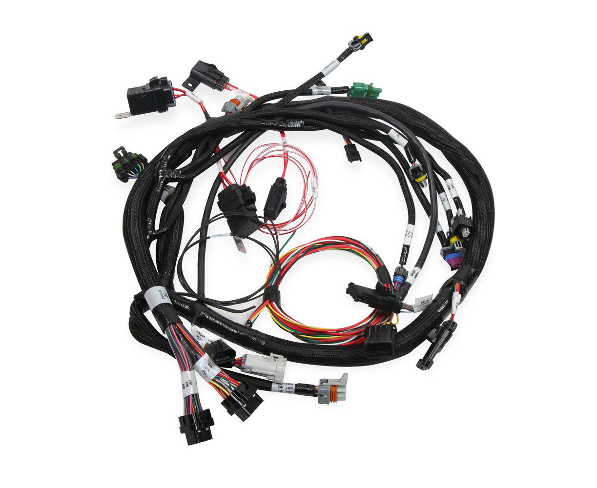 Holley Universal MPFI Coil On Plug Main Harness HLY558-117