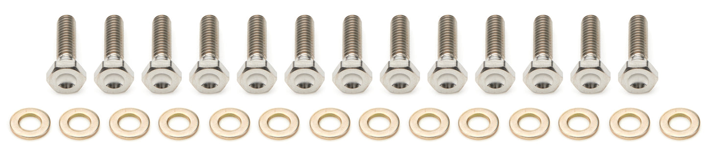 KEIZER ALUMINUM WHEELS, INC. 10in Beadlock Bolt Kit Titanium KAW10TIEBLKIT
