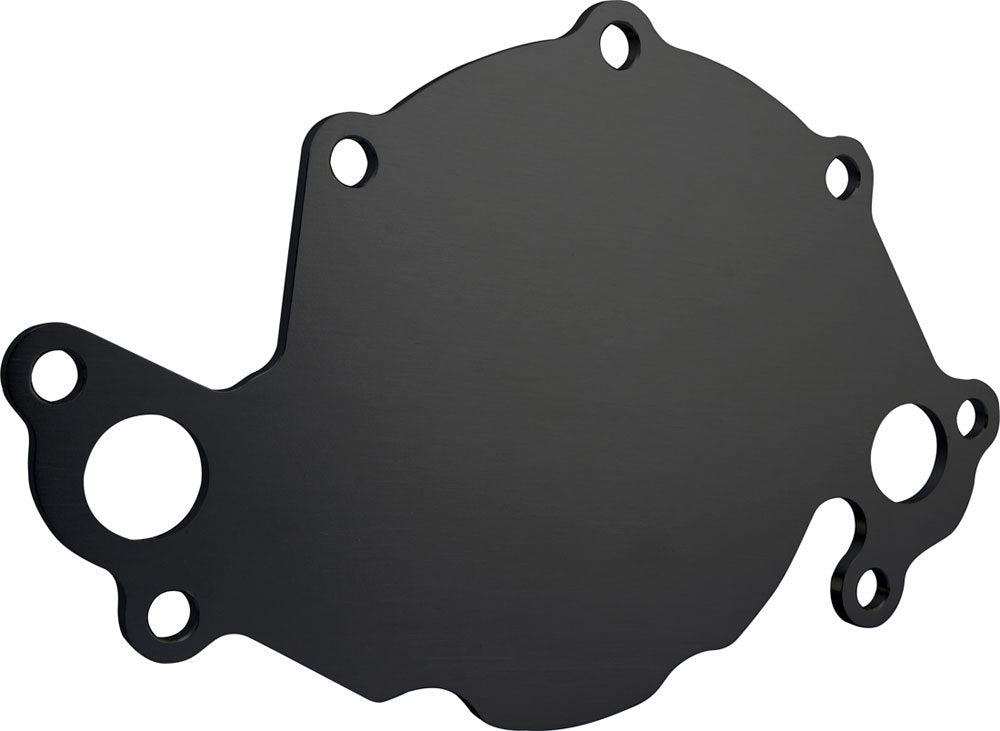 Cvr Performance  Back Plate Water Pump - SBF Black 65022BK