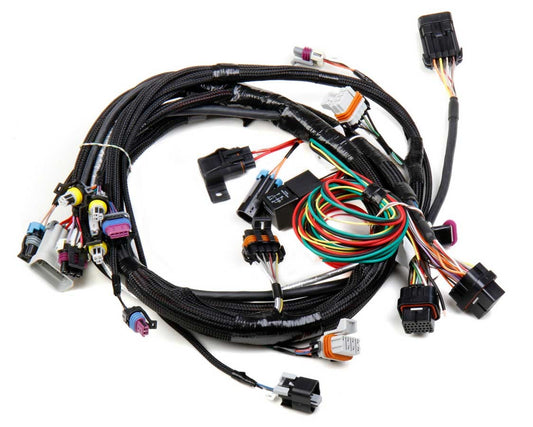 Holley   Main Wiring Harness LS1 & LS6  HLY558-102
