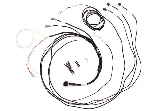 Haltech  Semi Terminated Harness for IC-7 Display Dash - HT-060300