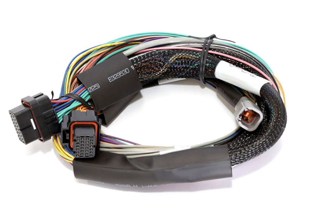 Haltech  Elite 2500 Basic Univ. Wire Harness HT-141302