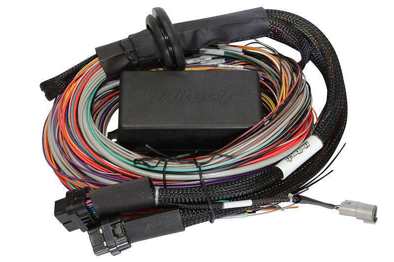 Haltech  Elite 2500 Premium Univ. Wire Harness HT-141304