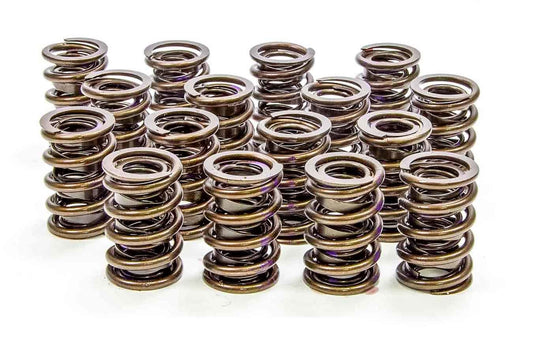 Isky Cams  1.430in Valve Springs  6005