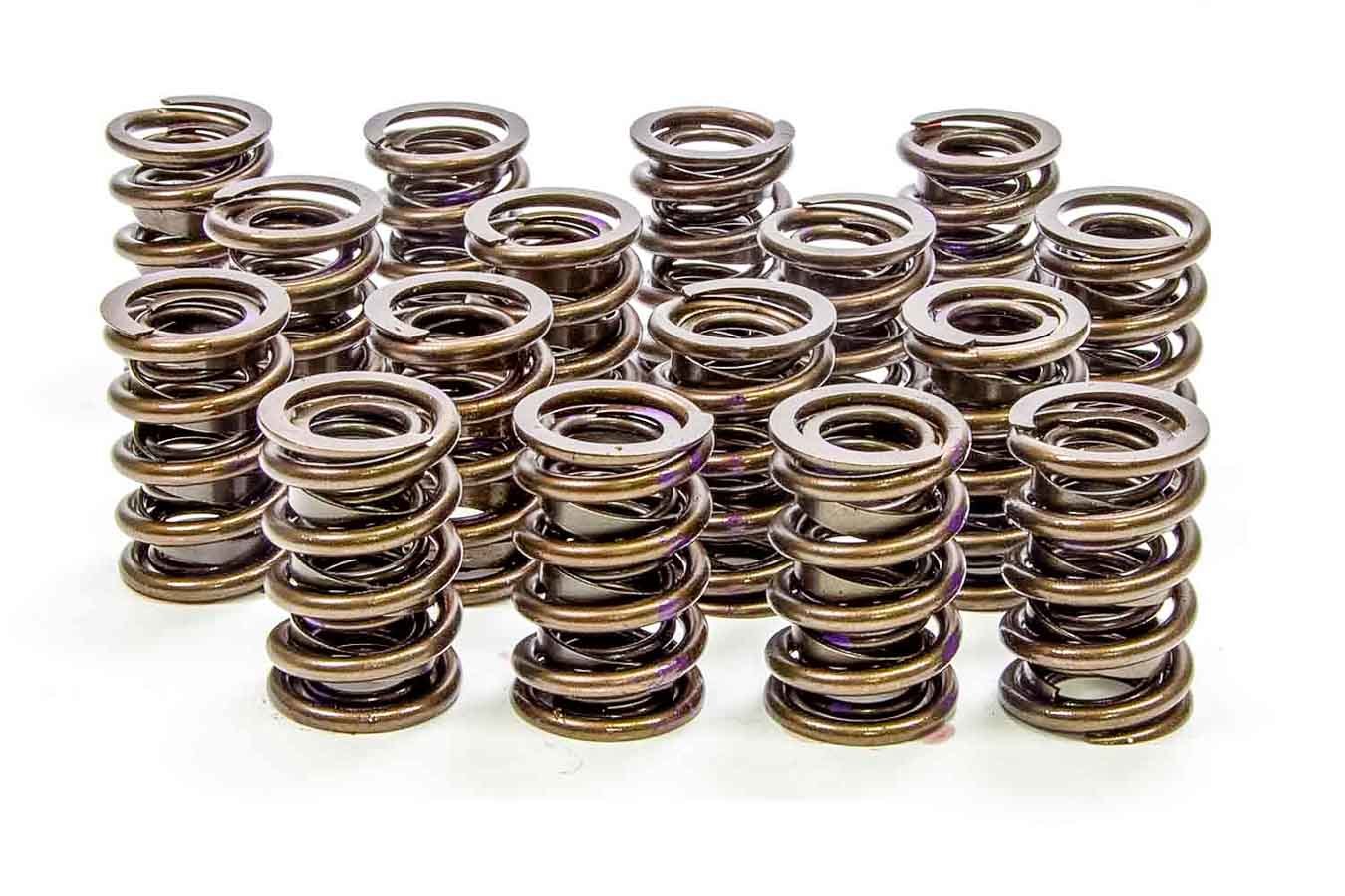 Isky Cams  1.530 Endurance Plus Dual Valve Springs  16pk 9005 PLUS