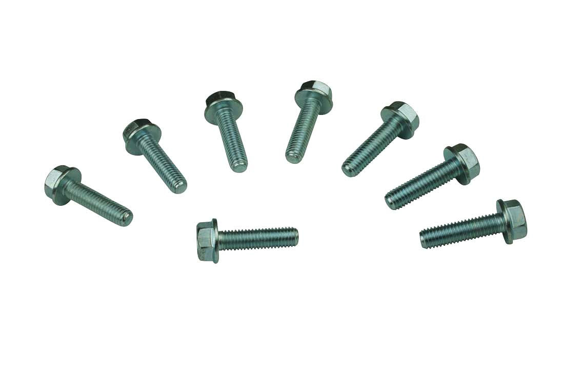 Moroso  Bolt Kit GM LS Timing Cover  MOR38591