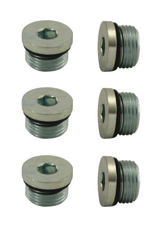 Moroso  3/4-16 Access Plug with O-Ring  MOR97005