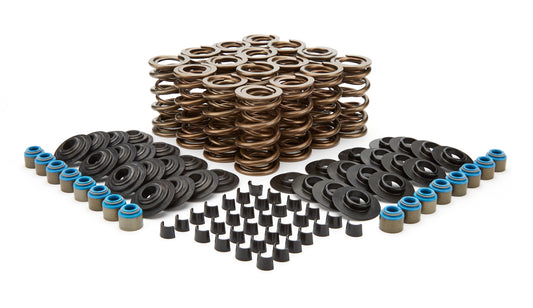 Pac Racing Springs 1.034 Valve Spring Kit GM LS - Hot Rod Series MPN PACPAC-KS12
