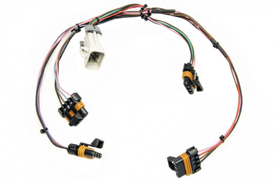 Painless Wiring  Ignition Harness 97-04 LS1 Engines  PWI60140
