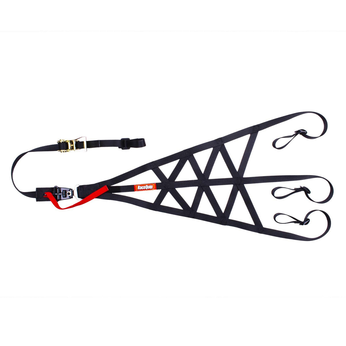 Racequip  Rollcage Net Side Black SFI 37.1  RQP828998