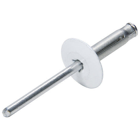 Allstar Performance   Lg Hd Rivet 250Pk White Flange Type Alum Mandrel  ALL18061