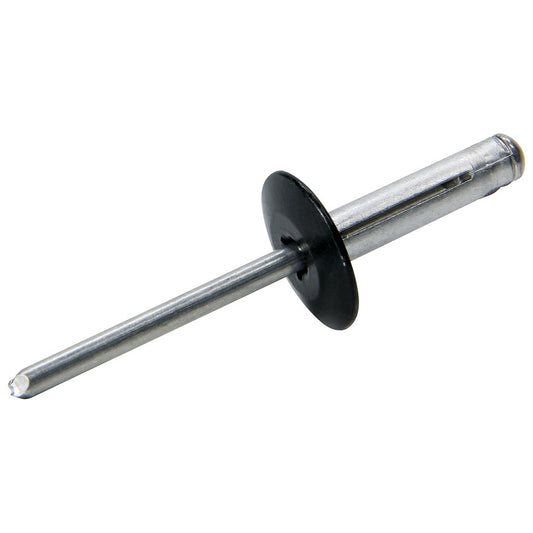 Allstar Performance   Lg Hd Rivet 250Pk Black Flange Type Alum Mandrel  ALL18063