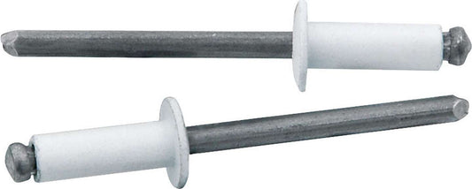 Allstar Performance   Sm Hd Rivet White 250pk   ALL18114