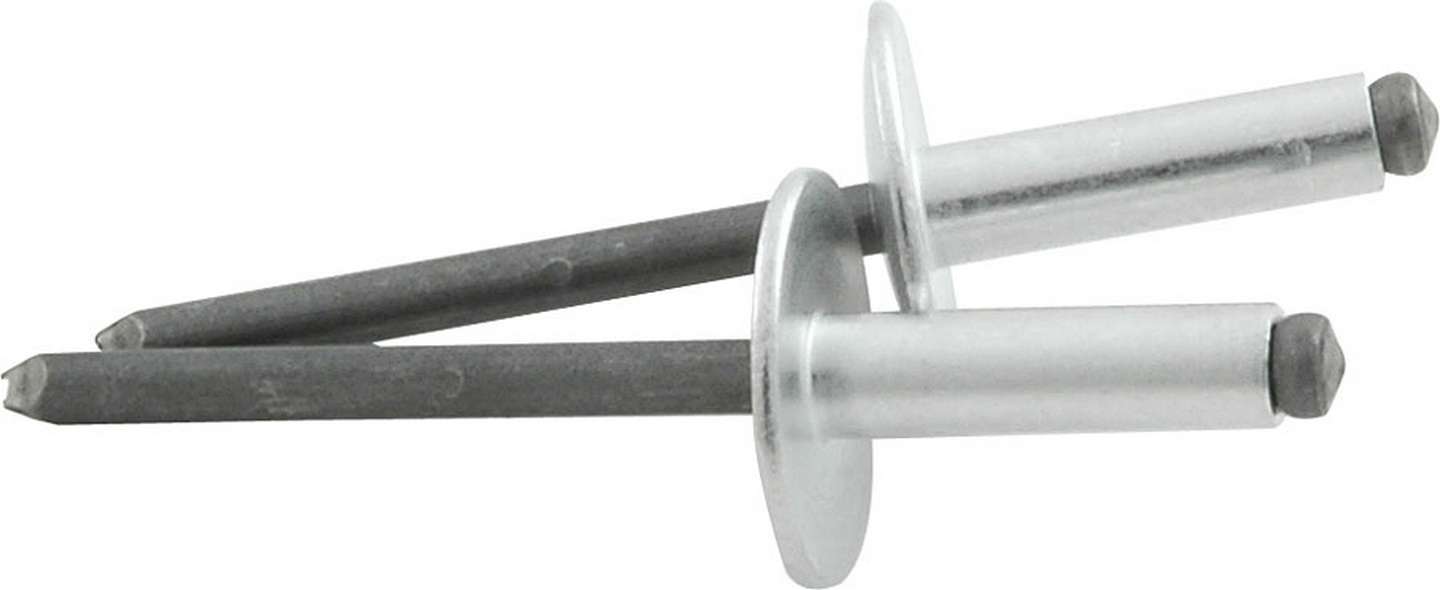 Allstar Performance   Lg Hd Rivet Silver 250pk   ALL18147