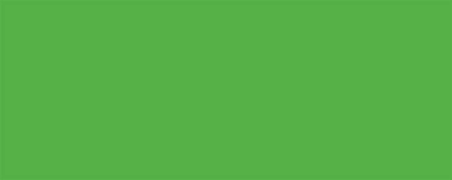 Allstar Performance Aluminum Xtreme Green 4x10 MPN ALL22211
