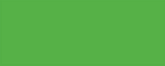 Allstar Performance Aluminum Xtreme Green 4x10 MPN ALL22211