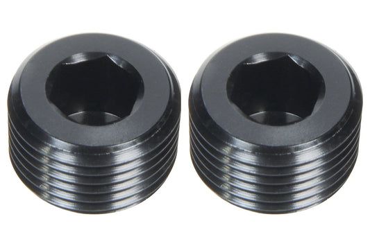 Allstar Performance   Allen Plugs NPT 1/16in 2pk  ALL49800