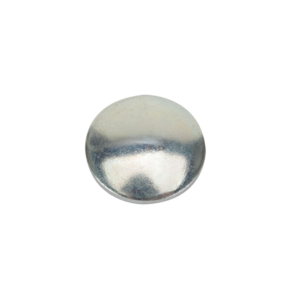 Bert Transmissions   Plug 3/4in Cup   BER76