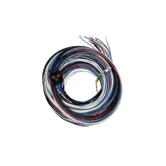 Fueltech Usa   FT450/550 A Harness 20ft   FTH2001005570