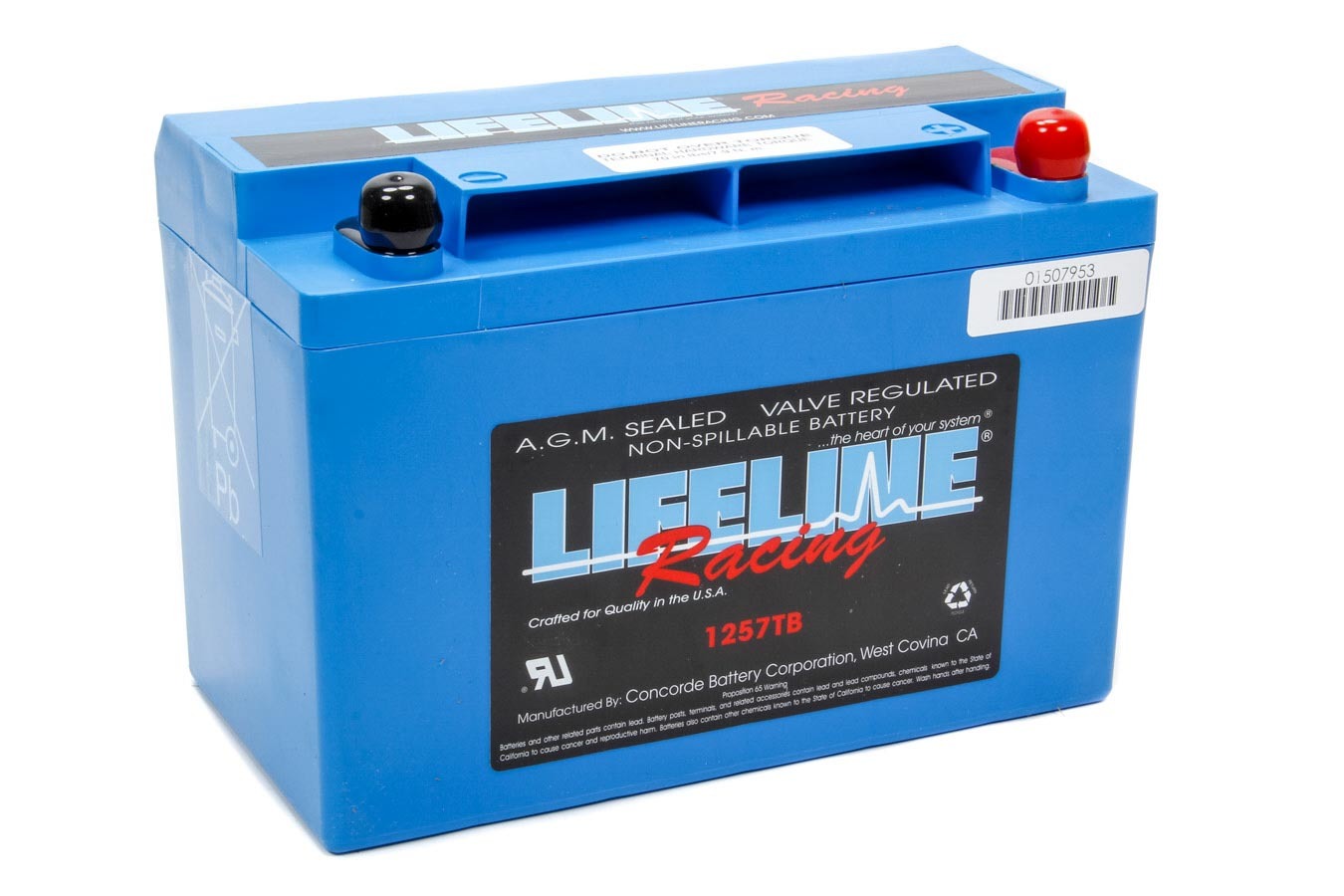 LIFELINE BATTERY  Power Cell Battery 9.78 x 4.97 x 6.83   LFBLL-1257TB