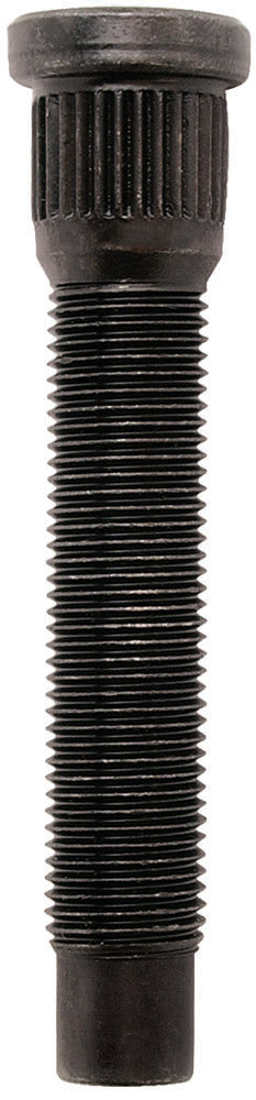 MOROSO  1/2in-20 Wheel Studs .594in Knurl   MOR46185