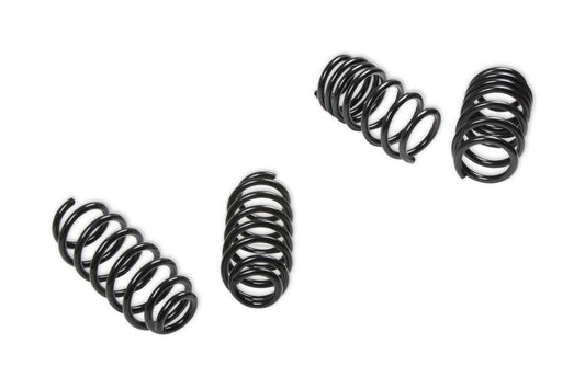 REKUDO  18-20 Tesla Model 3 Drop Springs   REKRK200-10