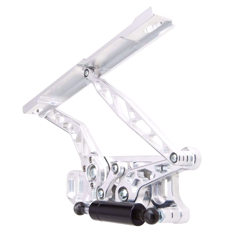 RING BROTHERS  1967-1969 Camaro Hood Hi nge Kit - Steel   RIB1032NS