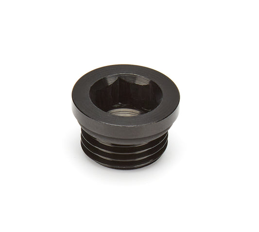 WATERMAN RACING COMP.  Fitting Plug ORB -6an Steel   WAT45329